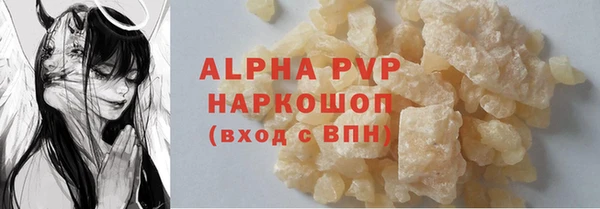 PSILOCYBIN Инсар