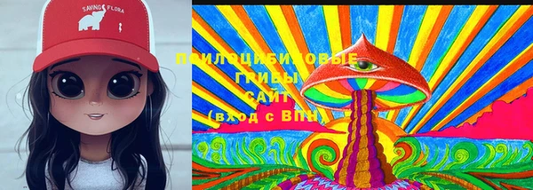 бутират Инта