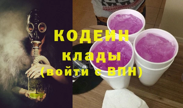 PSILOCYBIN Инсар