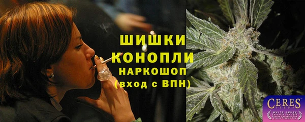 PSILOCYBIN Инсар
