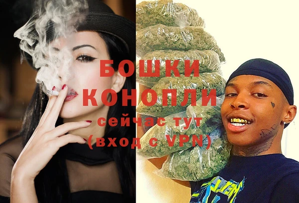PSILOCYBIN Инсар