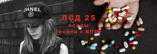 PSILOCYBIN Инсар
