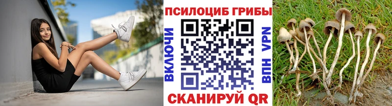 Псилоцибиновые грибы ЛСД Купить где Медвежьегорск