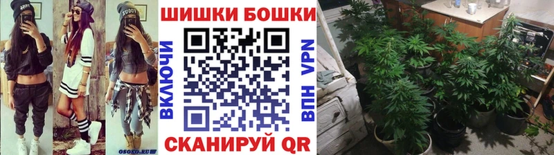 Купить где  Медвежьегорск  Бошки марихуана сатива 